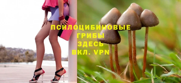 ПСИЛОЦИБИНОВЫЕ ГРИБЫ Балабаново