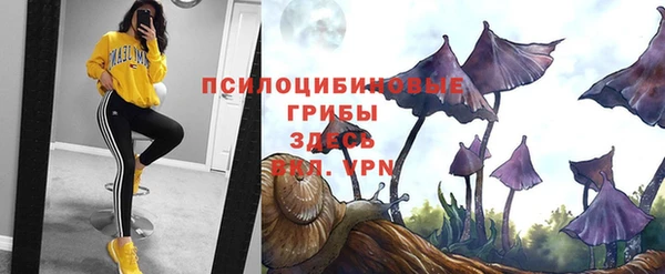 дживик Балахна